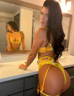  , , +7 (995) 390-0784